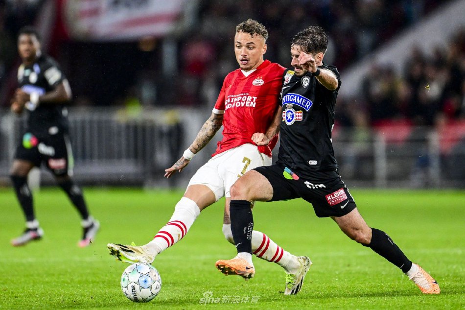 体纷纷聚焦 体纷纷聚焦